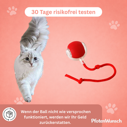 Interactive toy ball with a tail