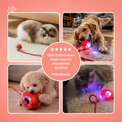 Interactive toy ball with a tail