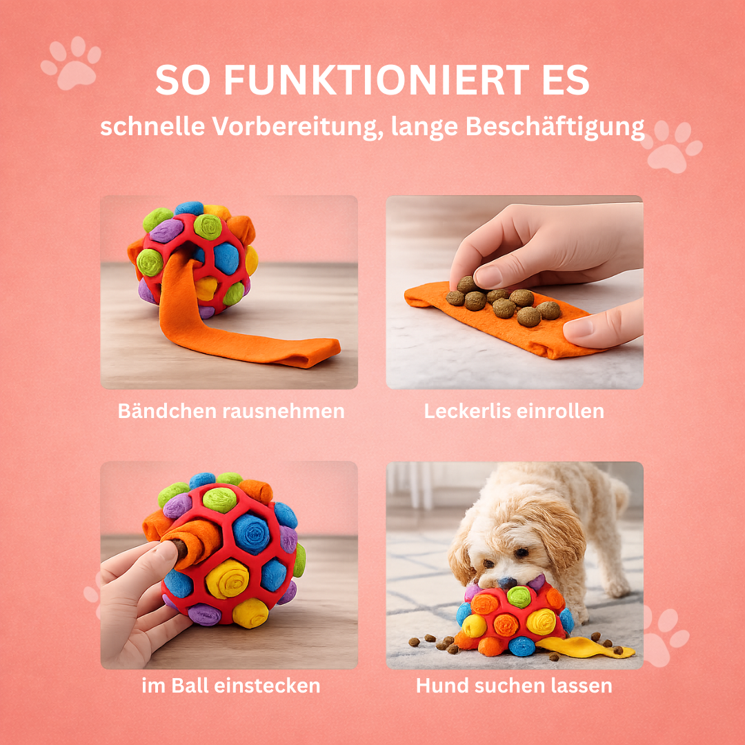 Snuffle ball for dogs