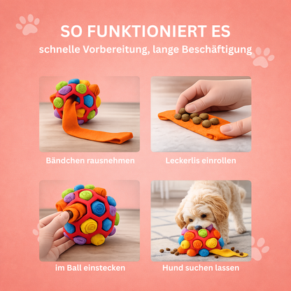 Snuffle ball for dogs