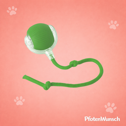 Interactive toy ball with a tail