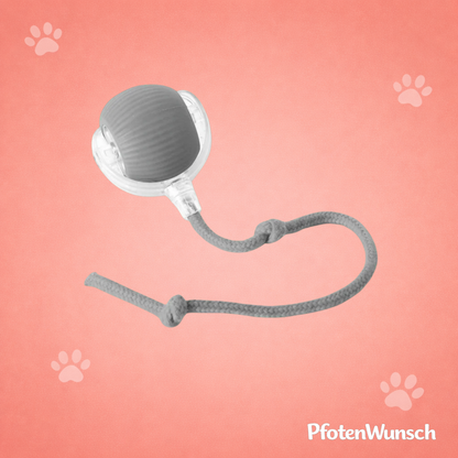 Interactive toy ball with a tail