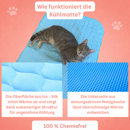 PfotenFrisch - The Bestseller