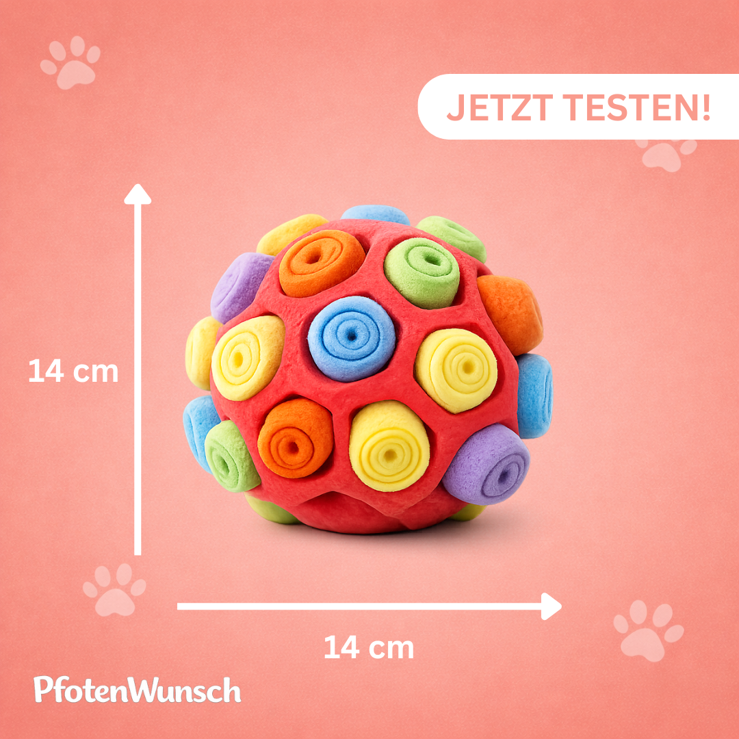 Snuffle ball for dogs
