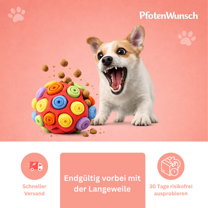 Snuffle ball for dogs