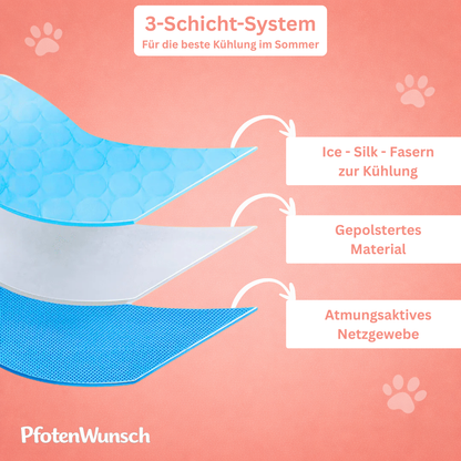 PfotenFrisch - The Bestseller