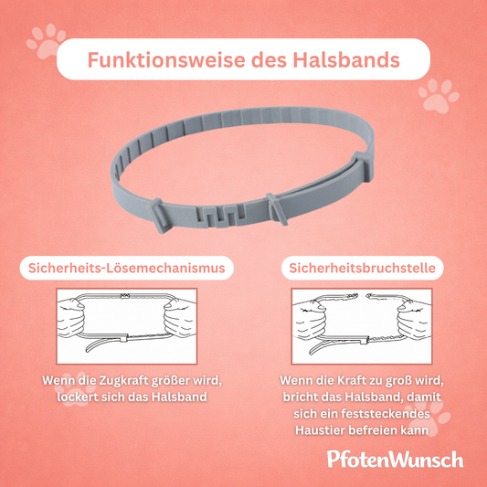 Tick & Flea Collar