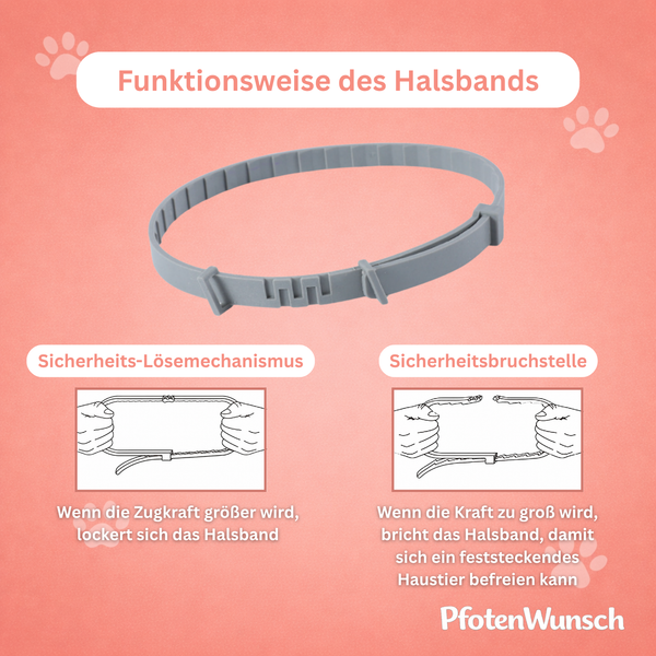 Tick & Flea Collar