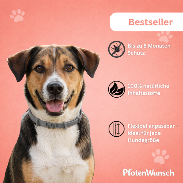 Tick & Flea Collar