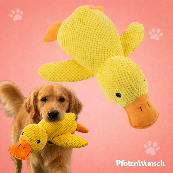 CuddleQuack Duck