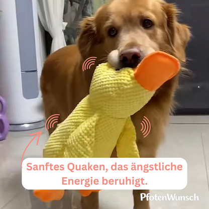 CuddleQuack Duck